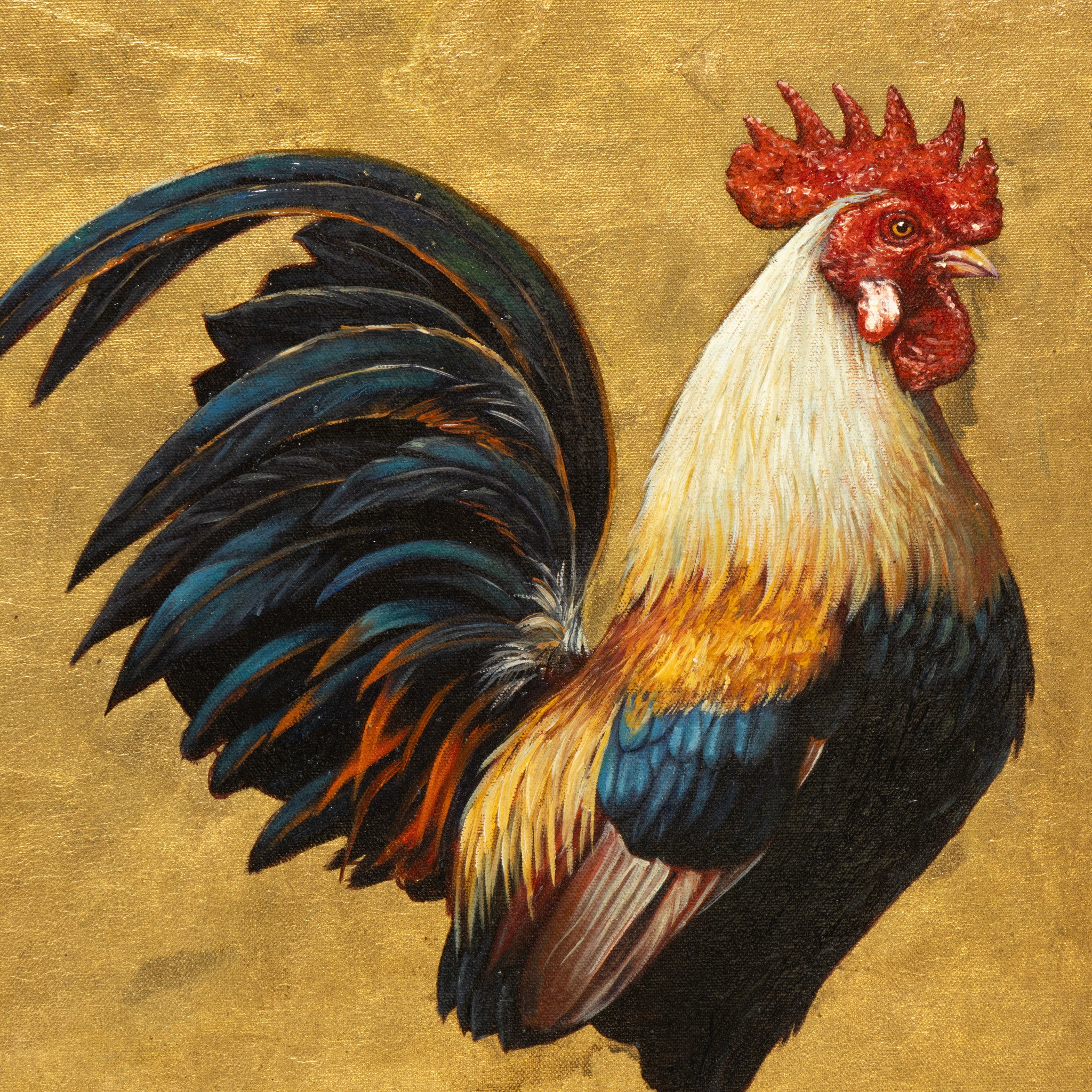 Rooster by E. Tapia