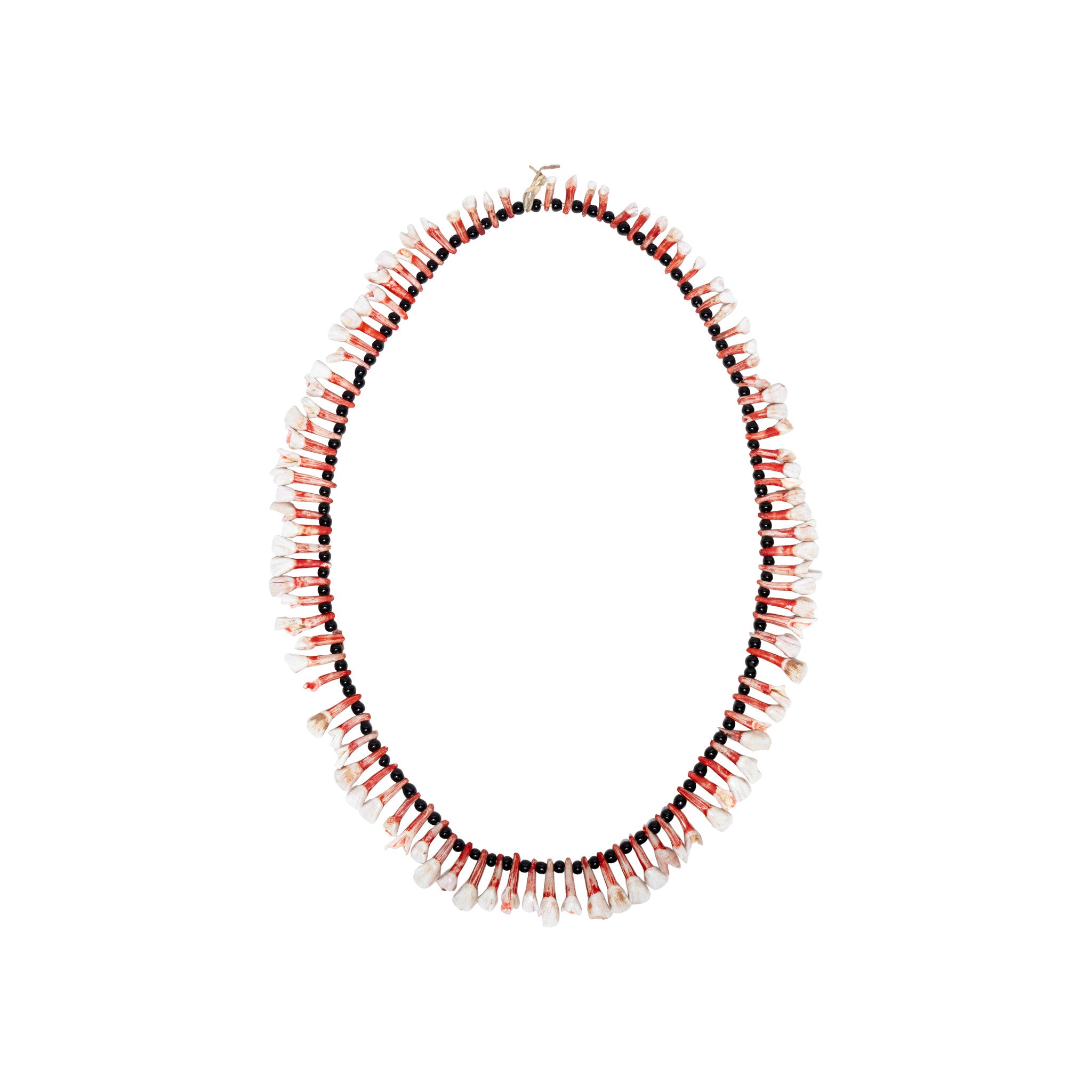 Northern Plains Horse Tooth Bandolier, Native, Garment, Necklace