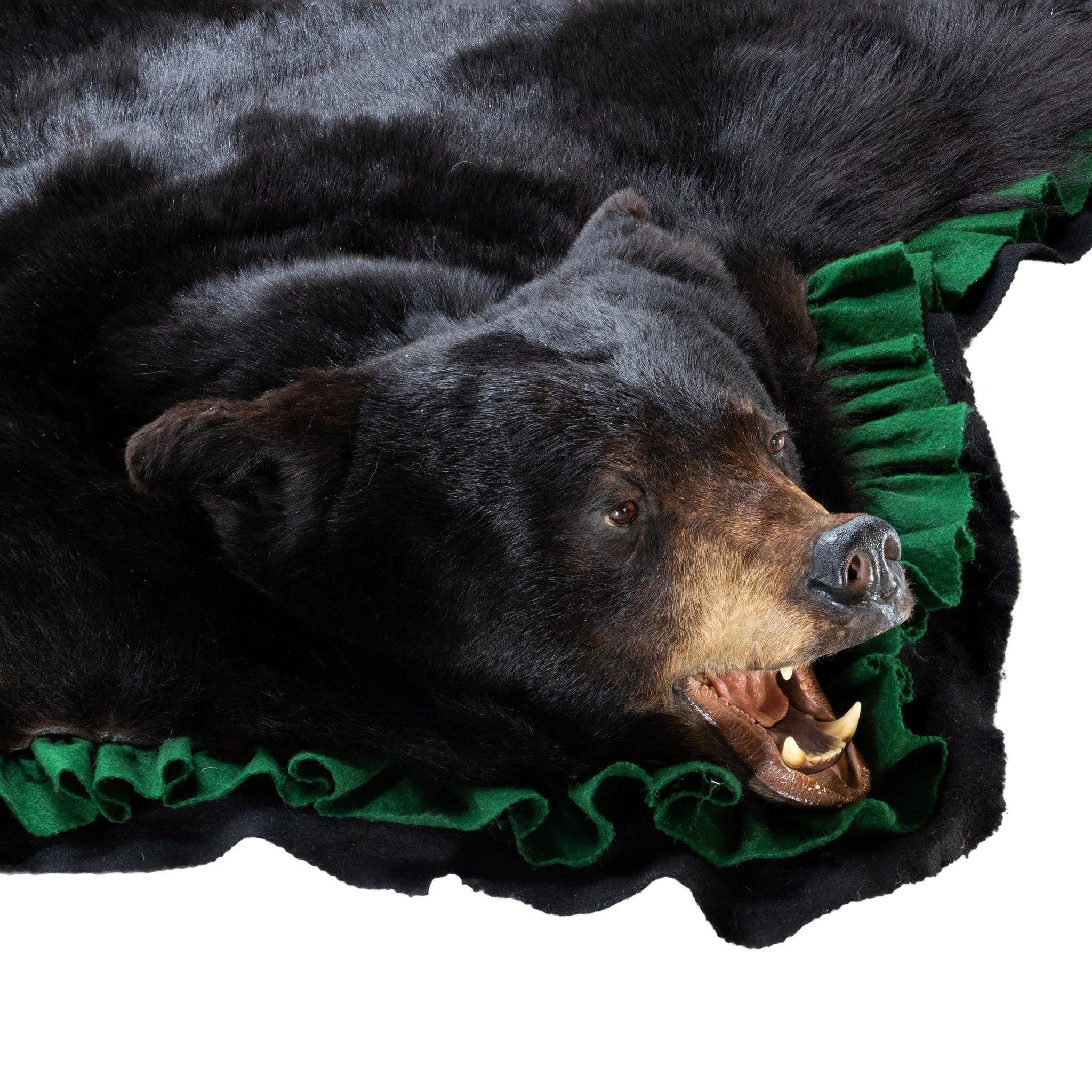Black Bear Rug