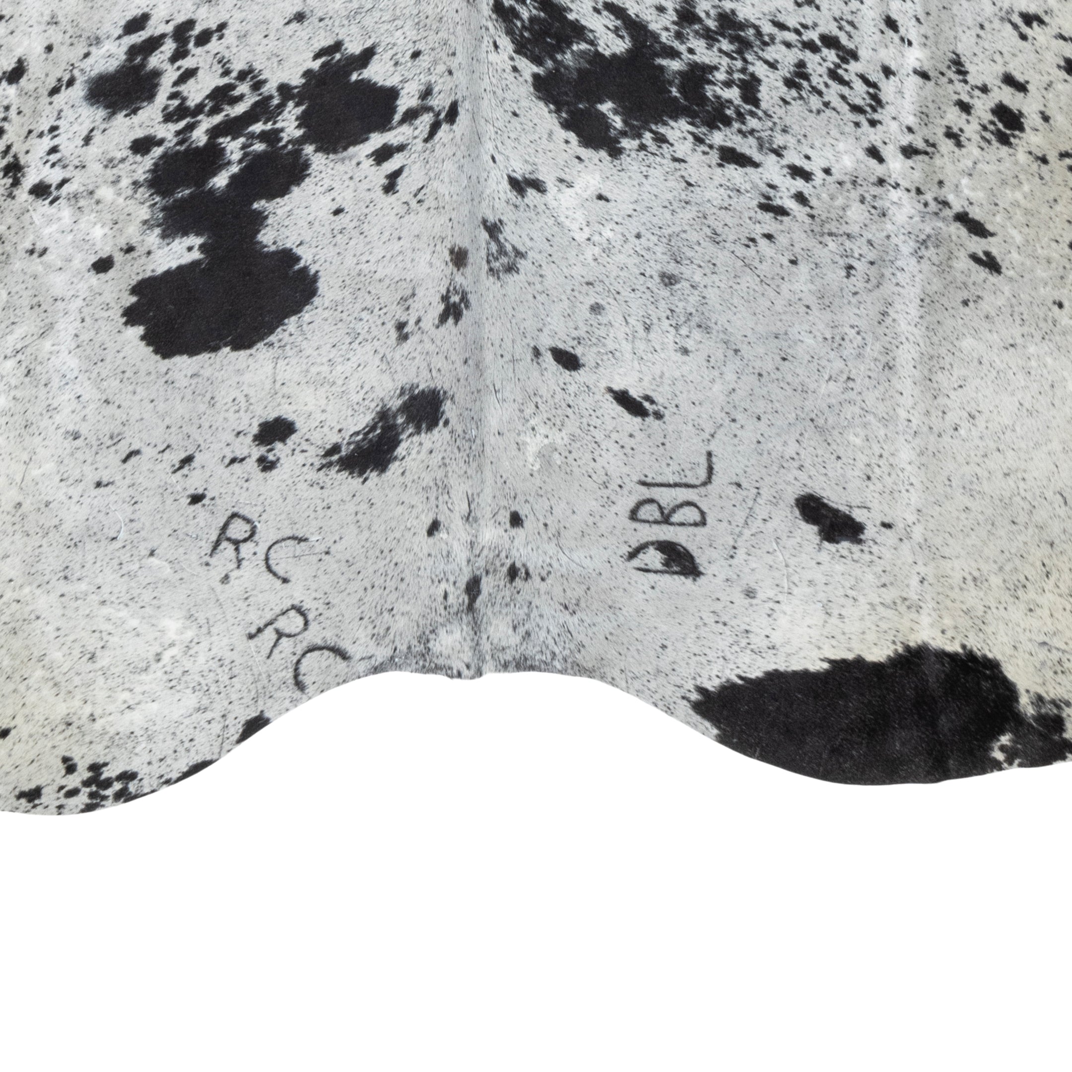 Black and White Speckled Longhorn Hide