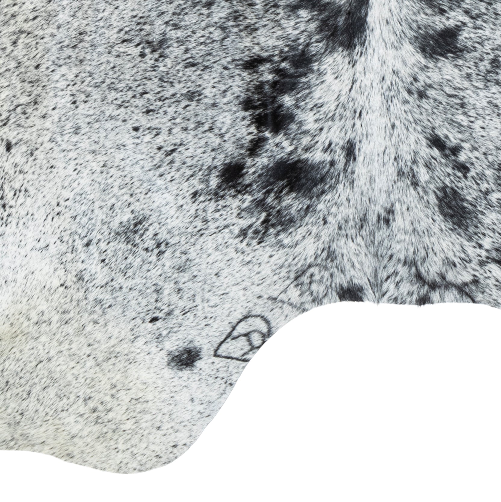 Black and White Speckled Longhorn Hide