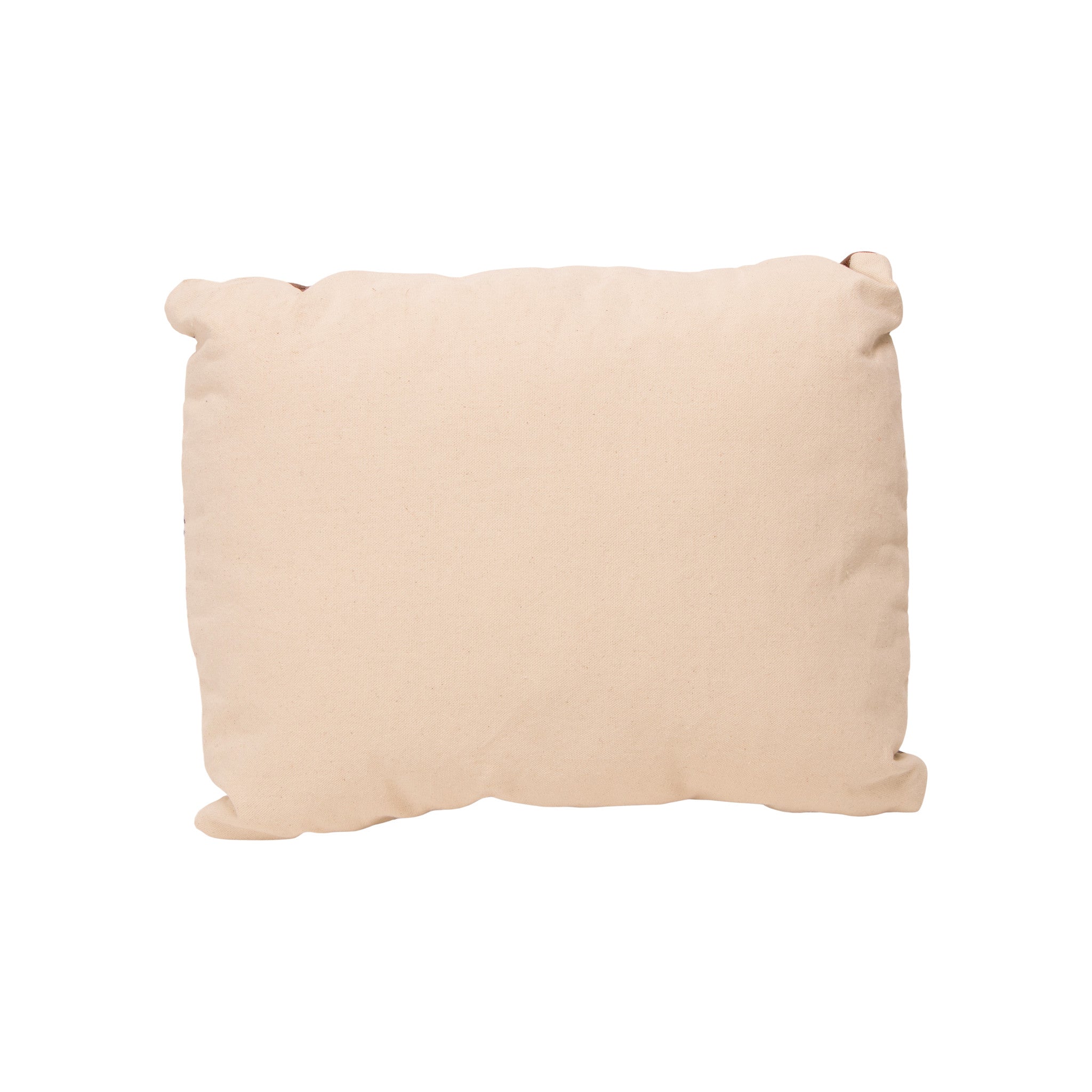 Navajo Transitional Pillow