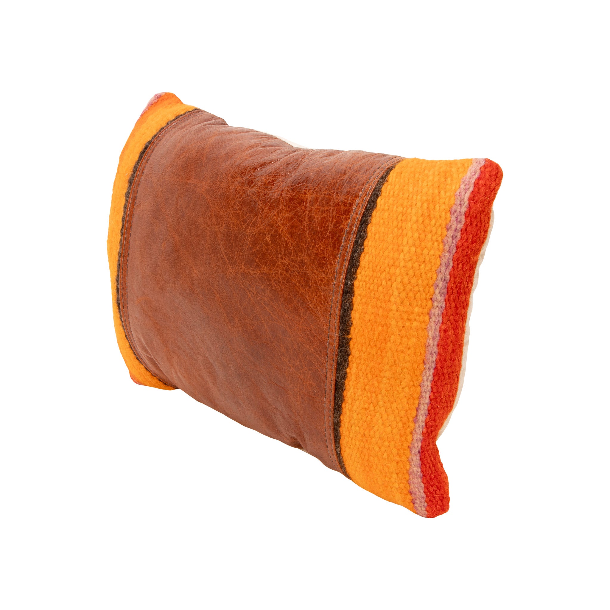 Native Lodge Pillow