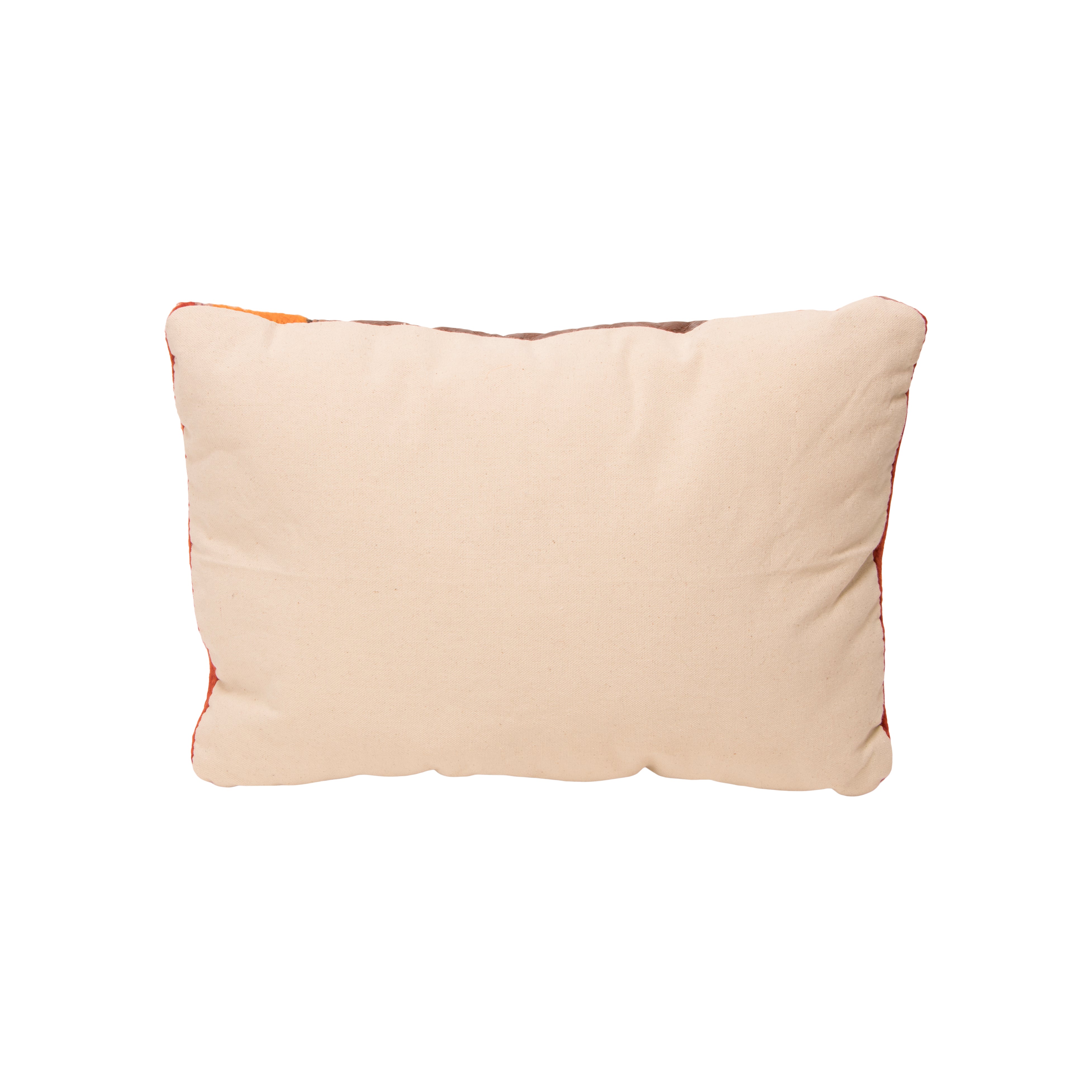 Native Lodge Pillow