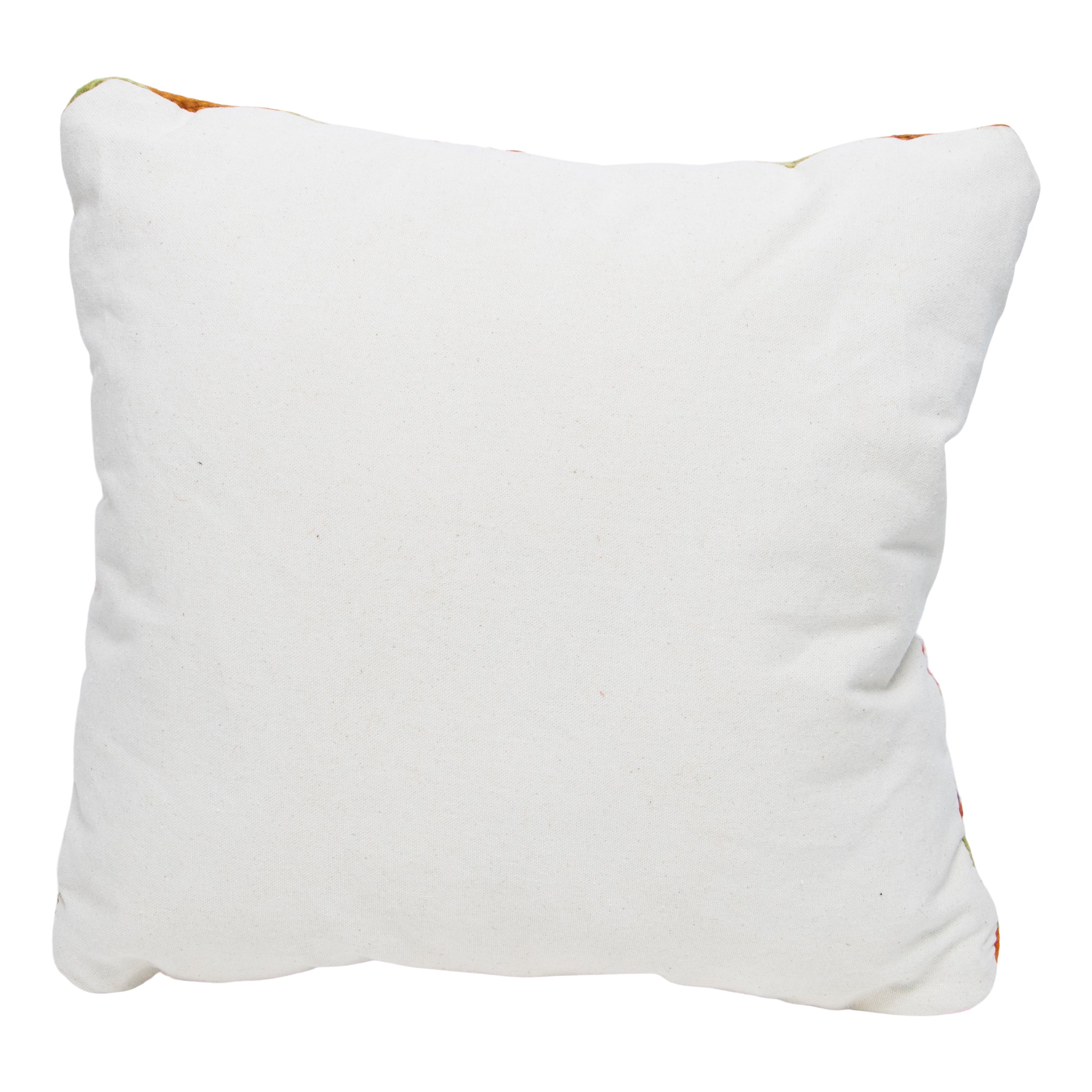 Native Lodge Pillow
