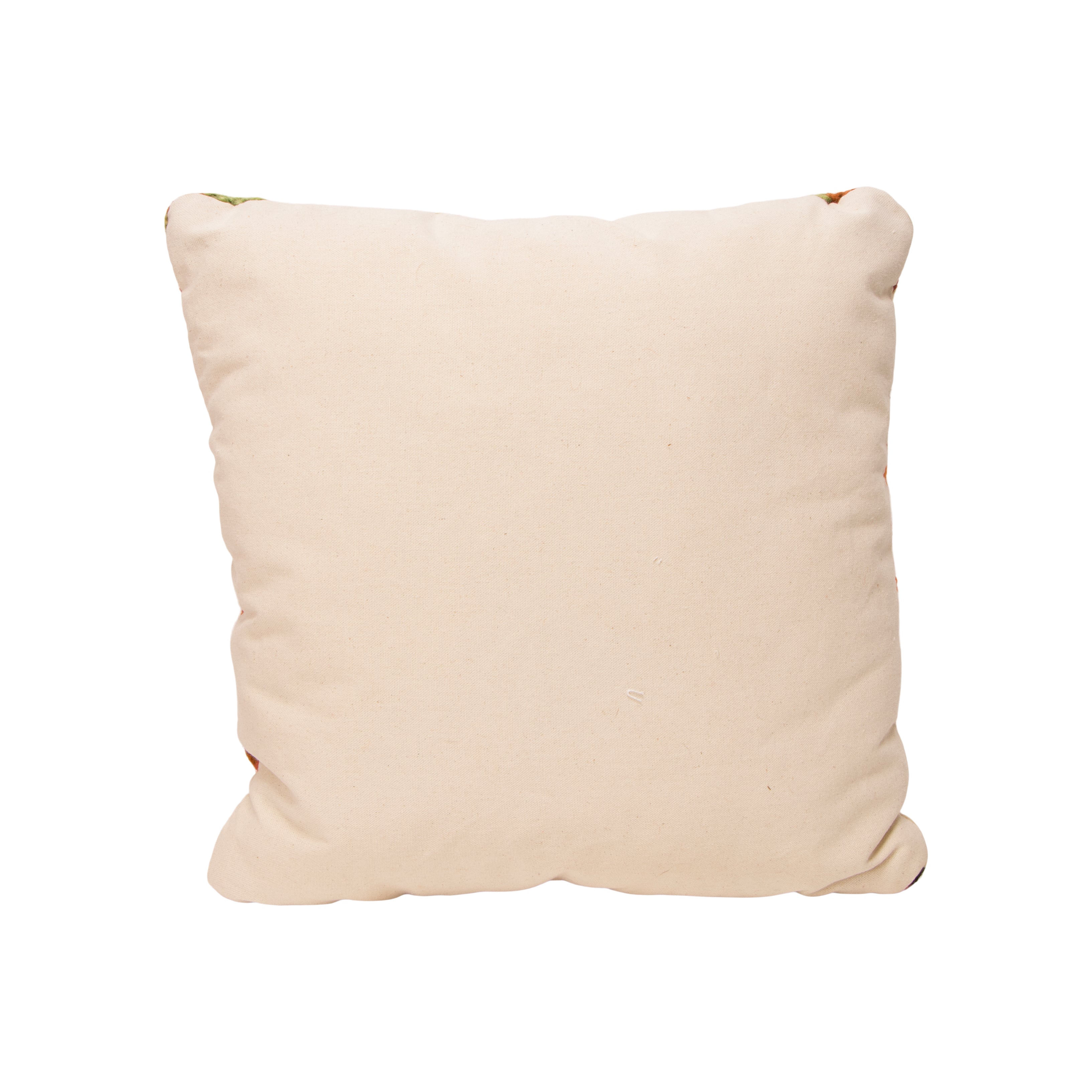 Native Lodge Pillow