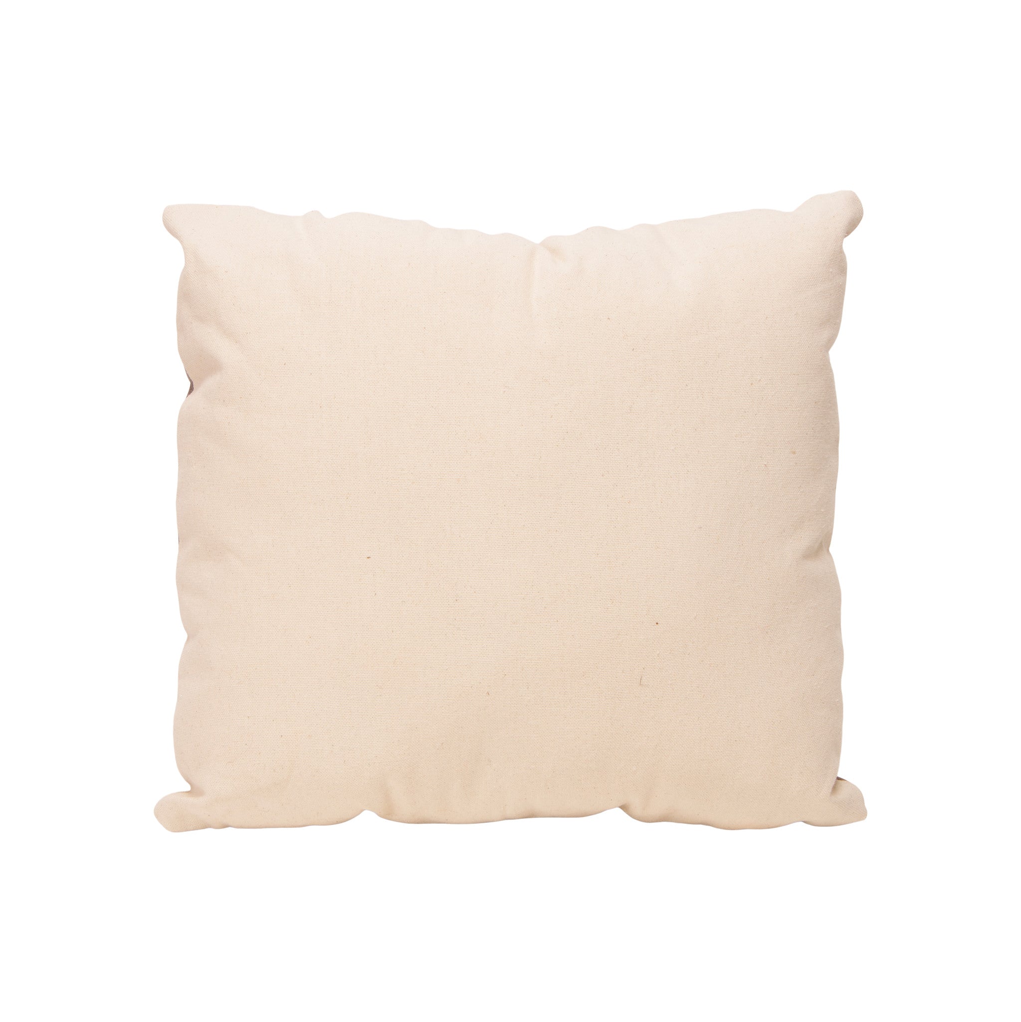 Native Lodge Pillow