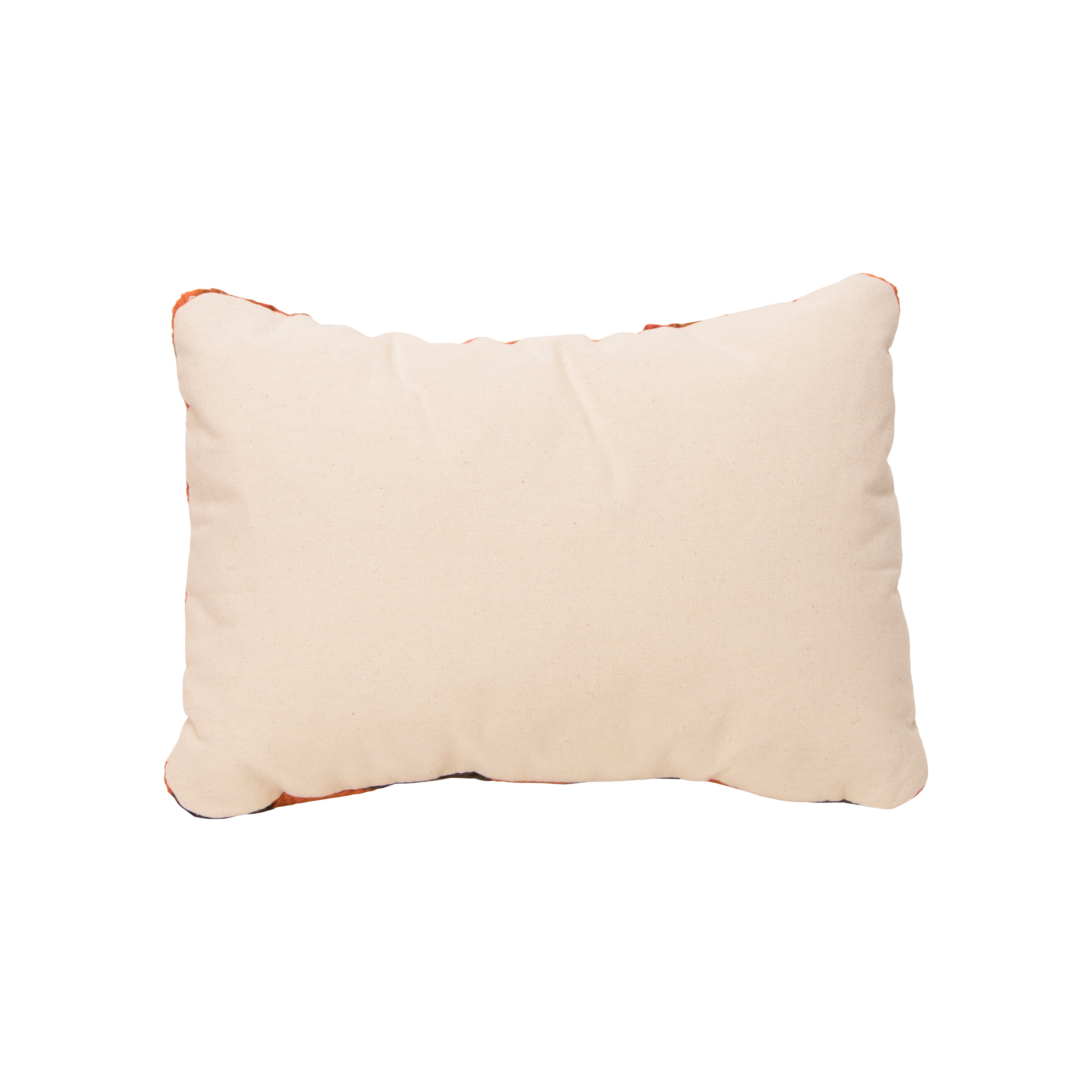 Native Lodge Pillow
