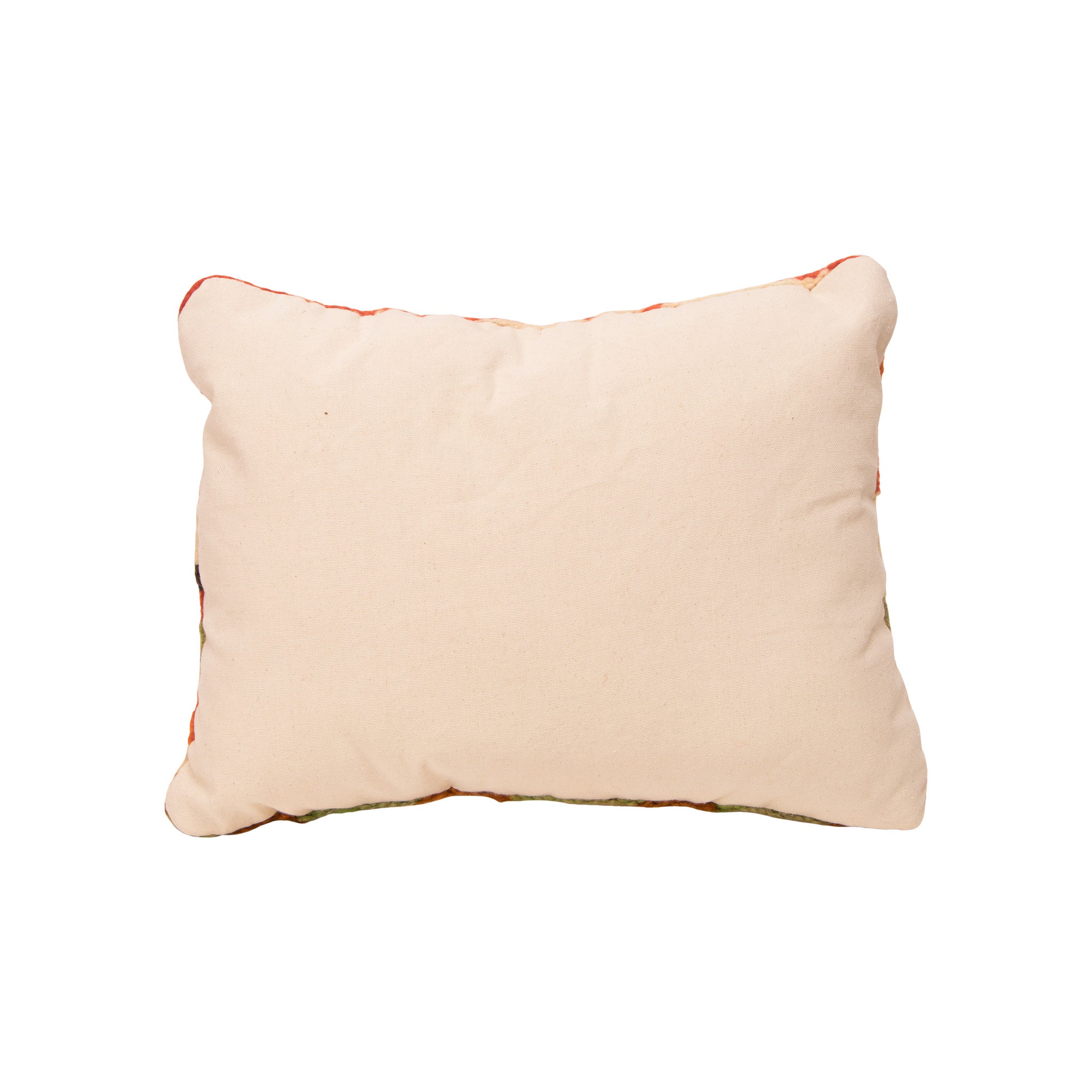 Native Lodge Pillow