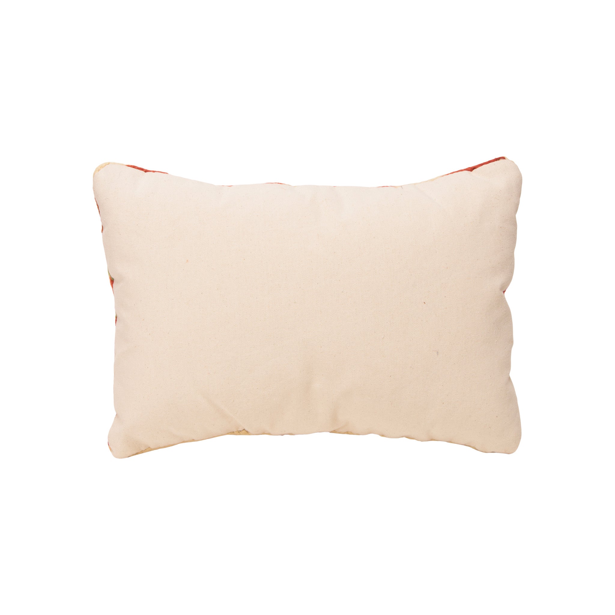 Native Lodge Pillow