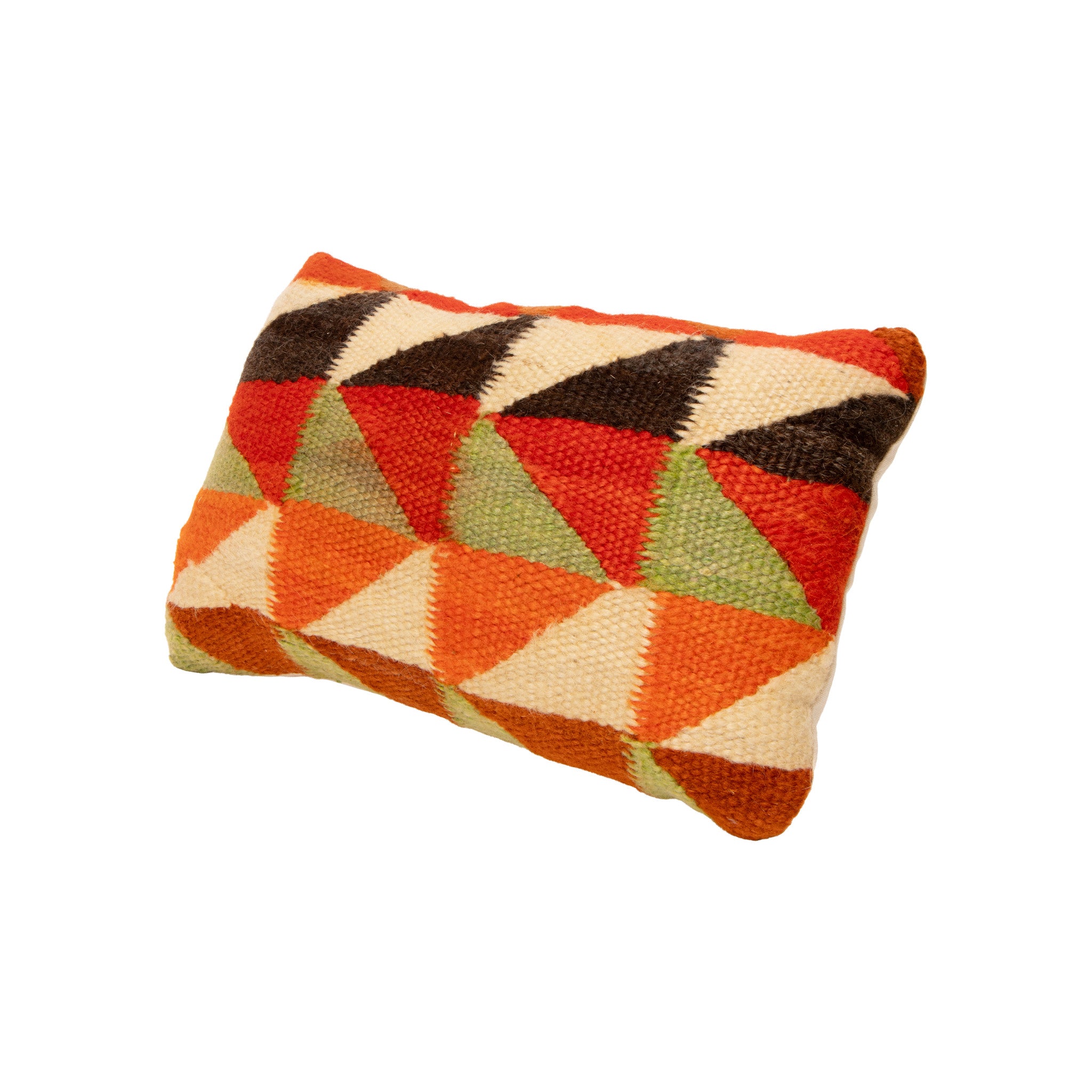 Native Lodge Pillow