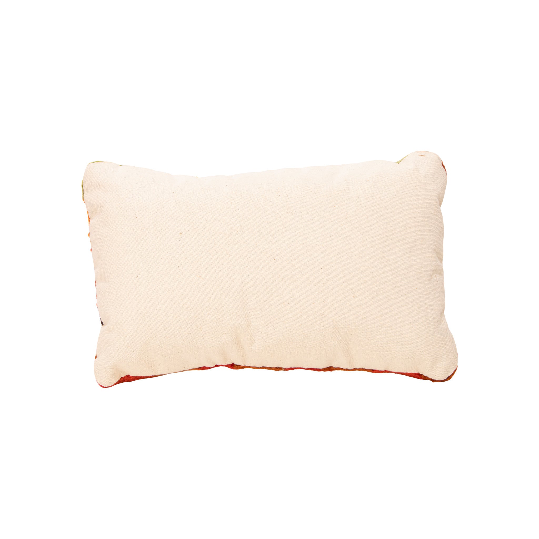 Native Lodge Pillow