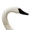 J. H. Whitney Swan Decoy