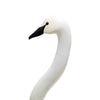 Paul Gibson Swan Decoy