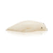 Miniature Inuit Walrus Ivory Whale, Native, Carving, Ivory