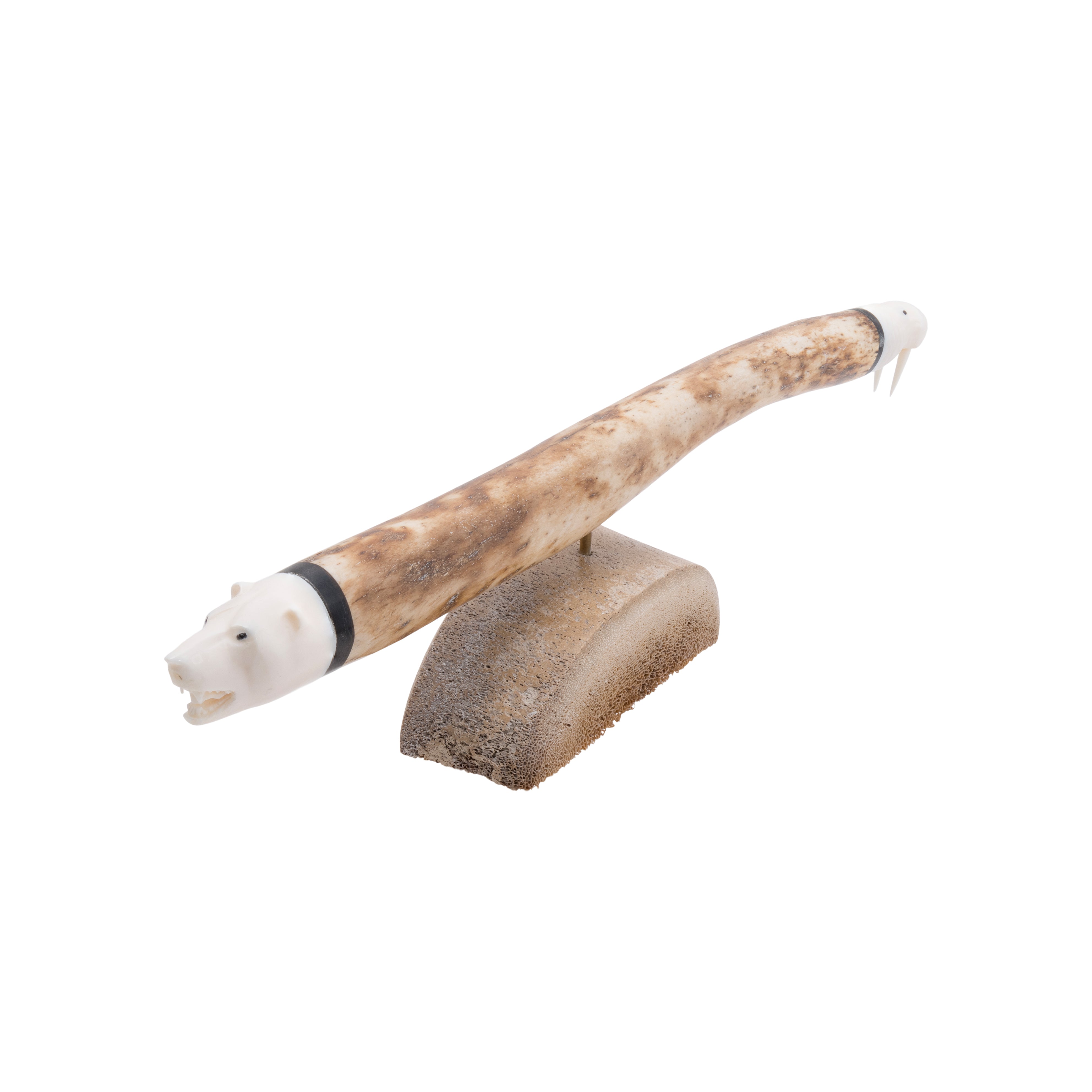 Walrus Oosik