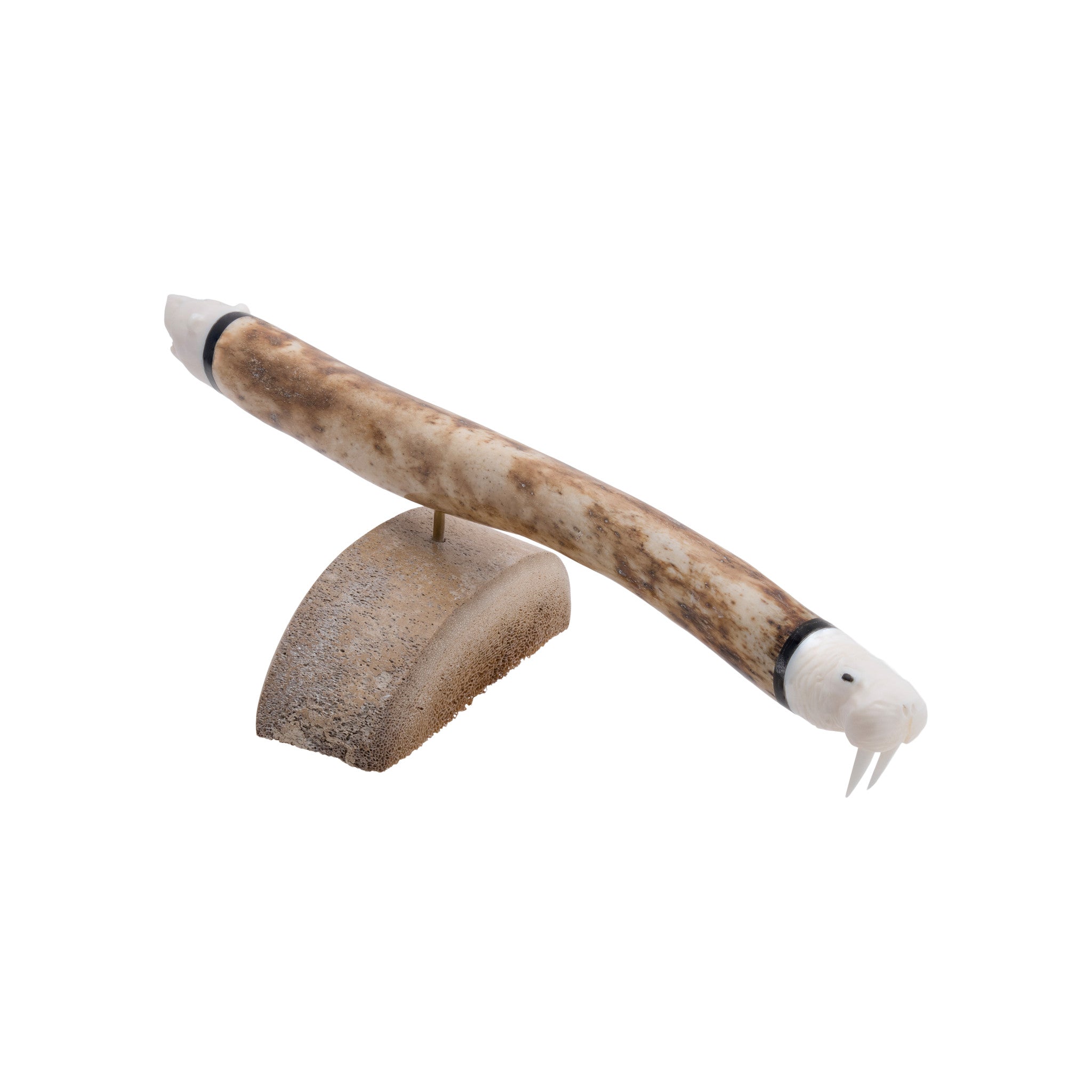 Walrus Oosik