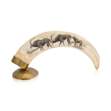 African Warthog Tusk, Native, Carving, Ivory