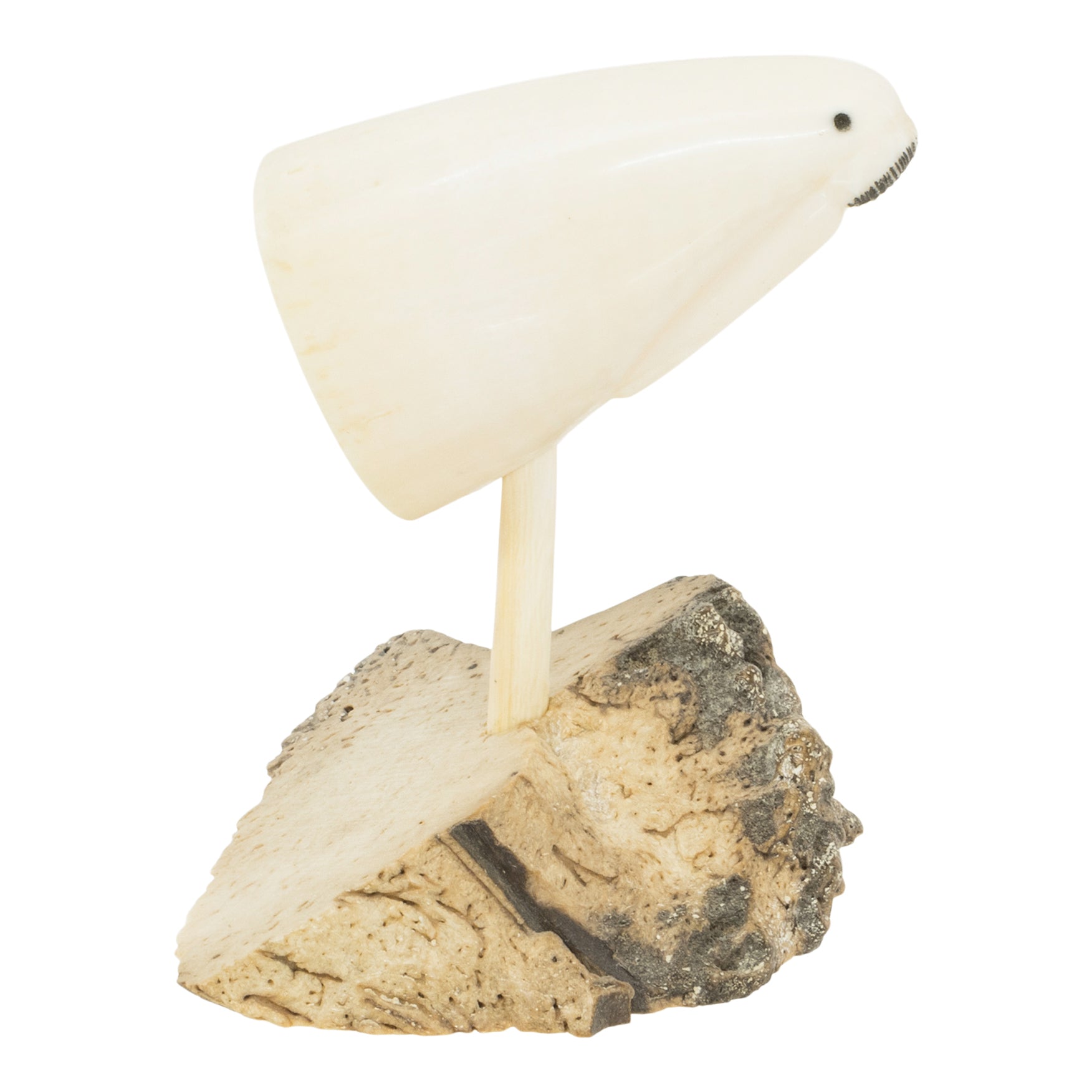 Inuit Walrus Ivory Walrus Head