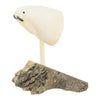 Inuit Walrus Ivory Walrus Head