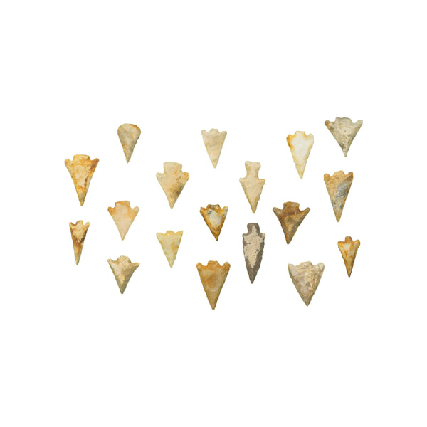 California/Nevada Points, Native, Stone and Tools, Arrowhead