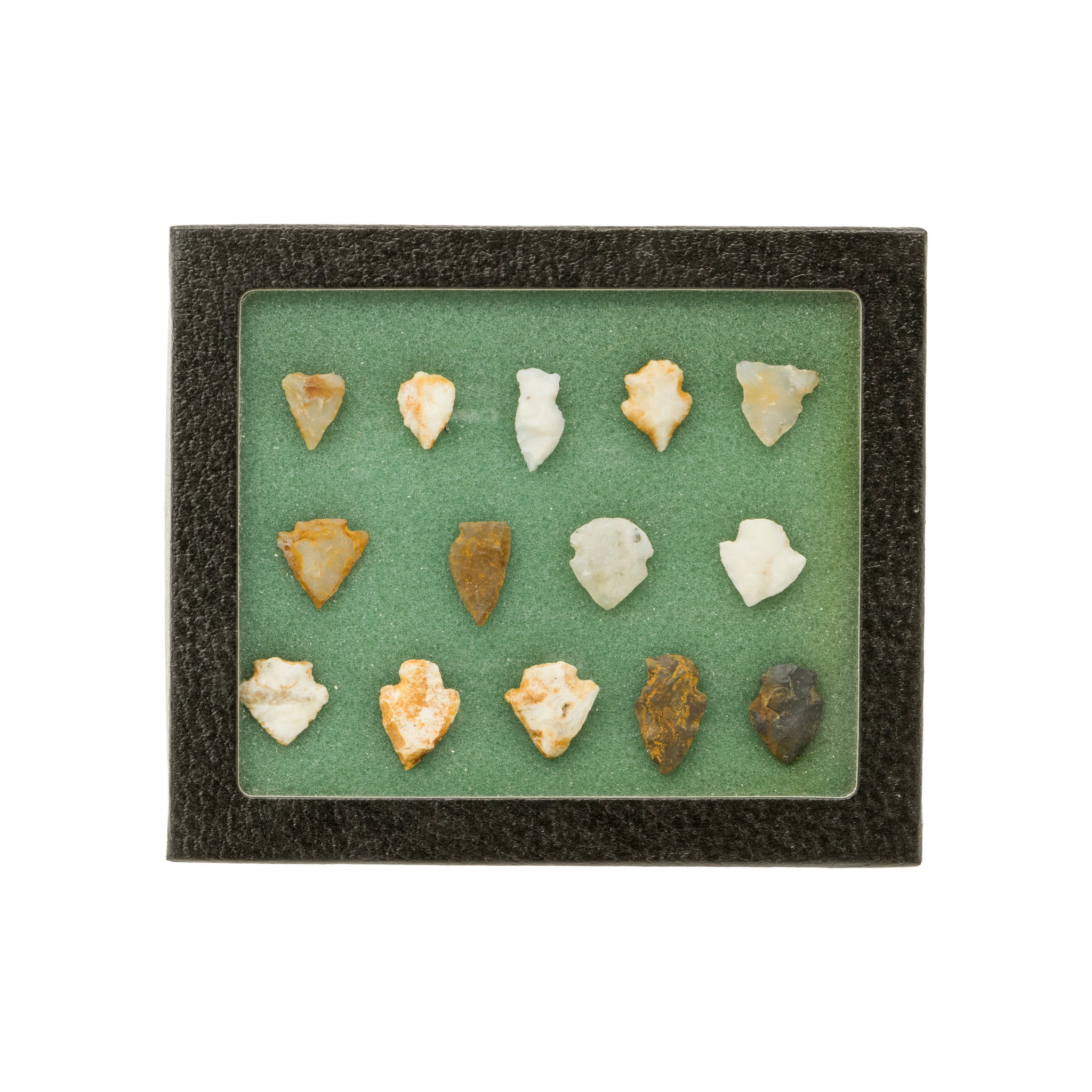 California/Nevada Bird Points