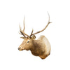 Idaho 4 x 4 Elk Mount