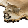 Cougar Rug