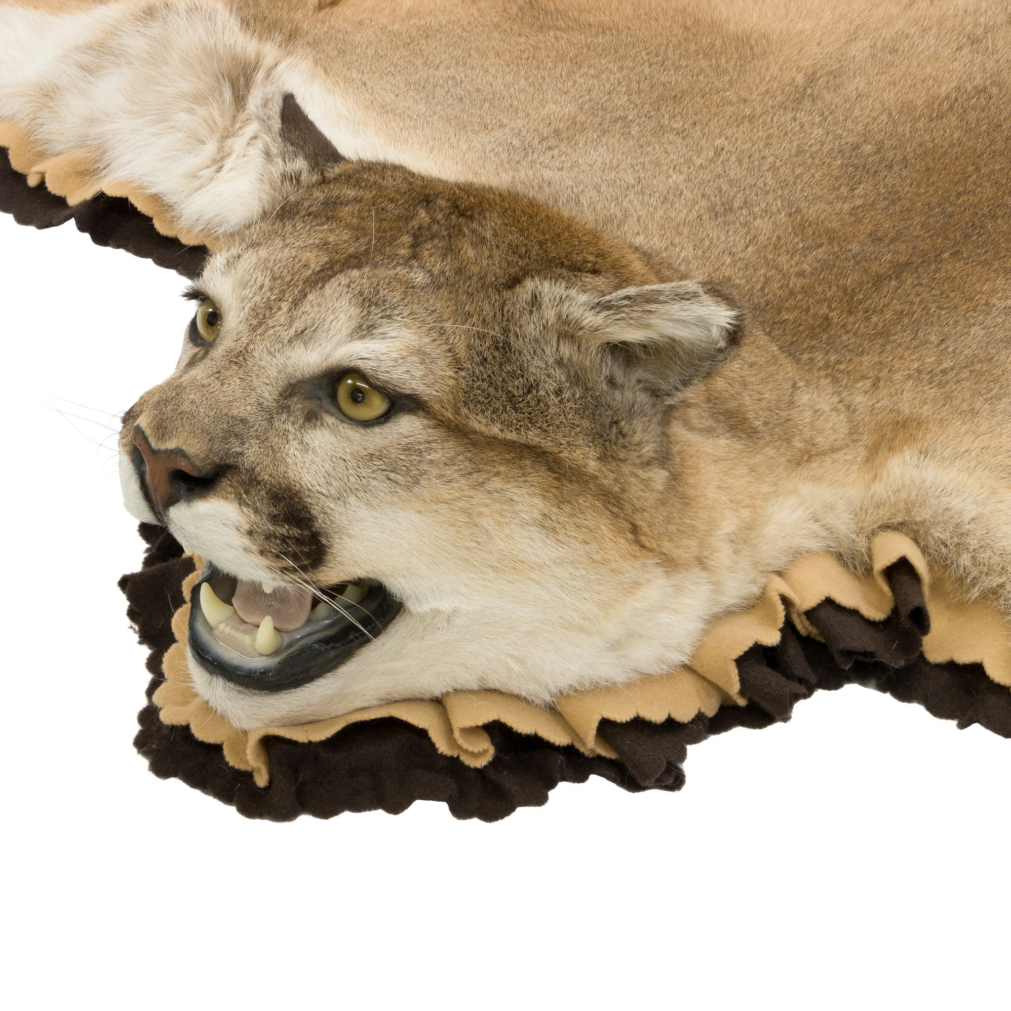 Cougar Rug