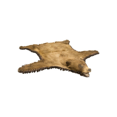 Black Bear Rug, Furnishings, Taxidermy, Bear