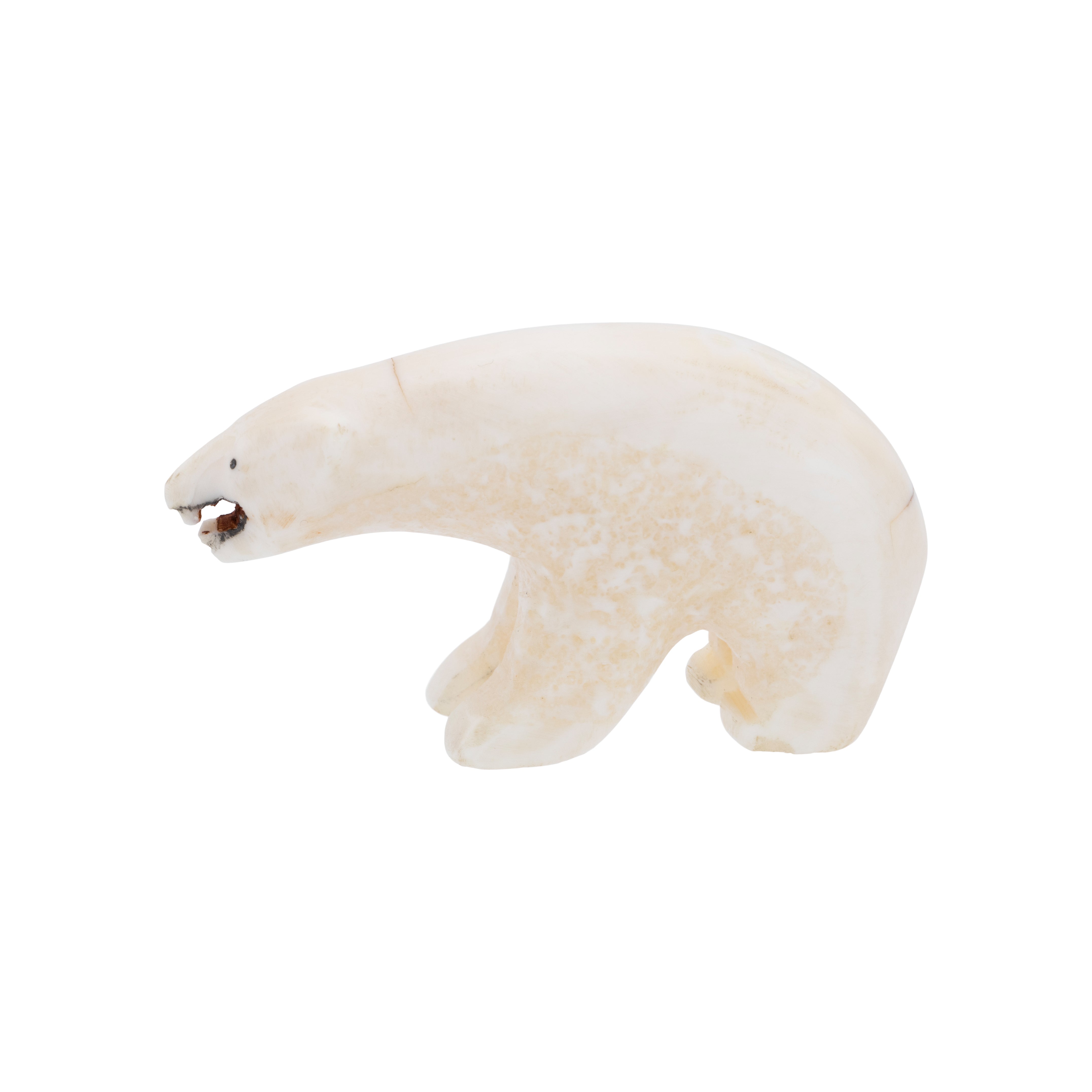 Inuit Carved Walrus Ivory Polar Bear