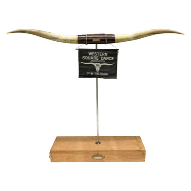 Texas Longhorn Trophy Mount, Furnishings, Taxidermy, Longhorn