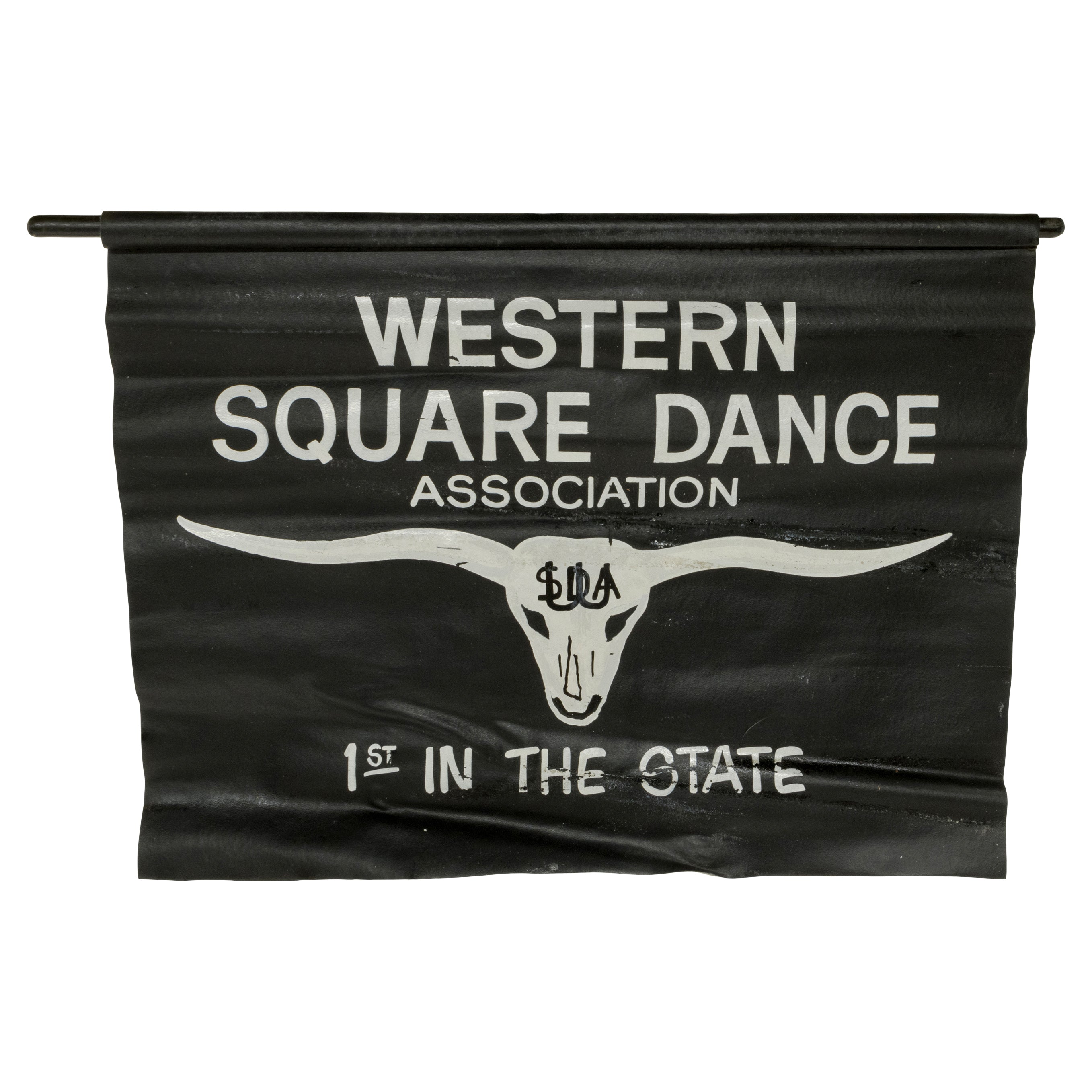 Texas Longhorn Trophy Mount