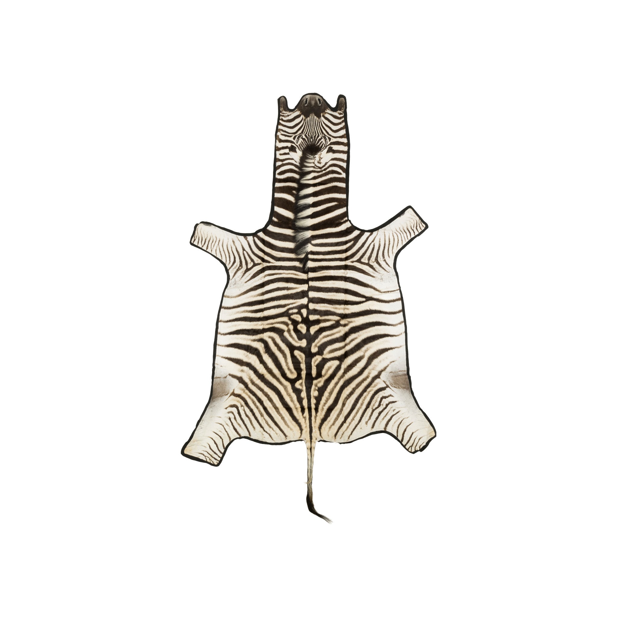 Burchell Zebra Rug, Furnishings, Taxidermy, Other