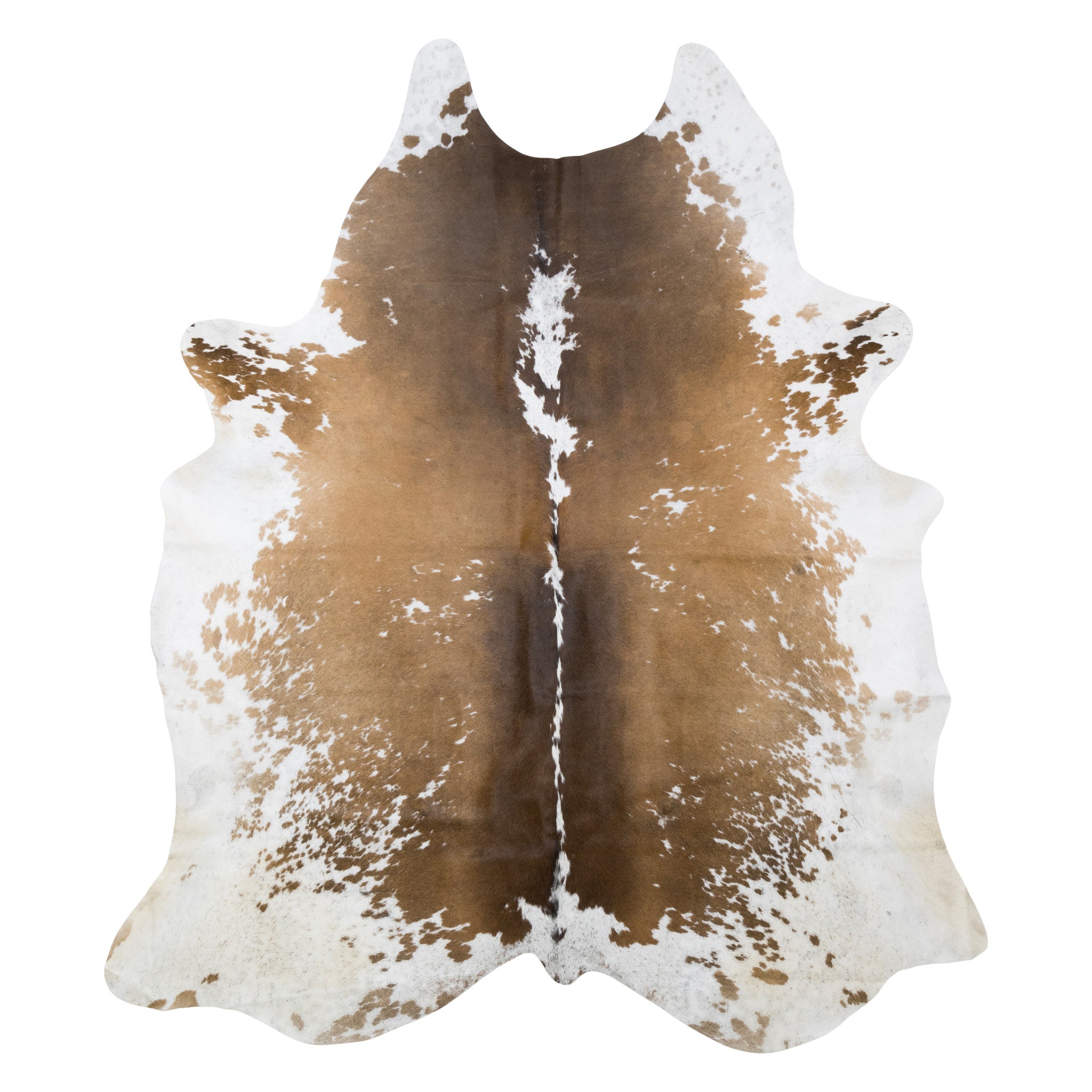 Cowhide, Furnishings, Taxidermy, Hide