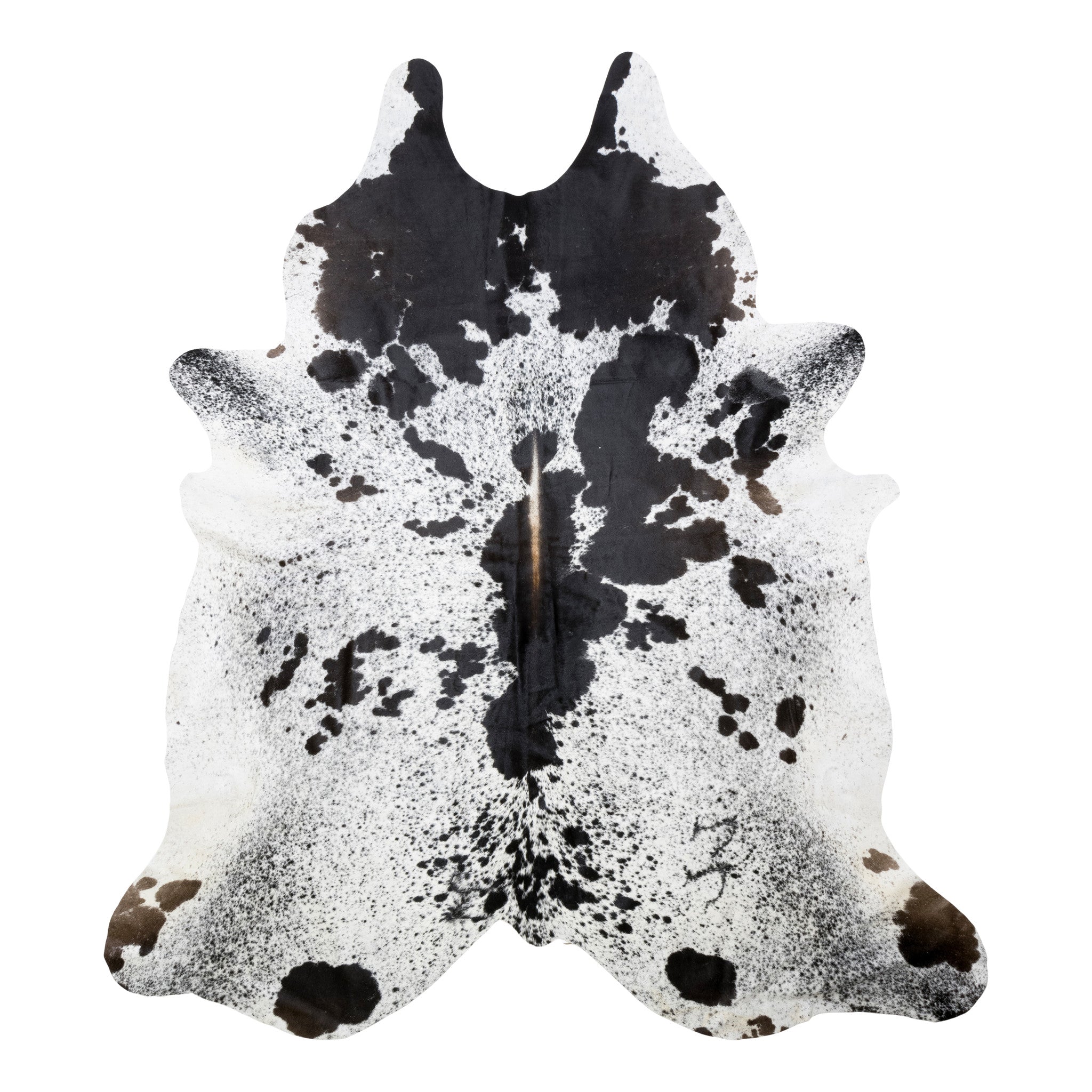 Extra Large Longhorn Hide, Furnishings, Taxidermy, Longhorn