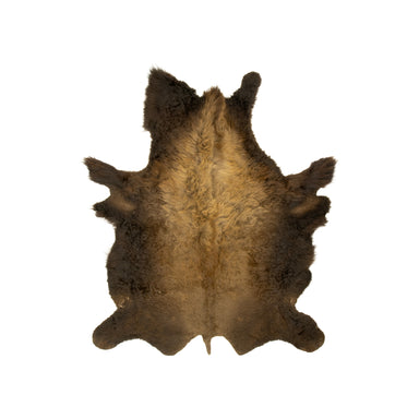 Buffalo Hide, Furnishings, Taxidermy, Buffalo