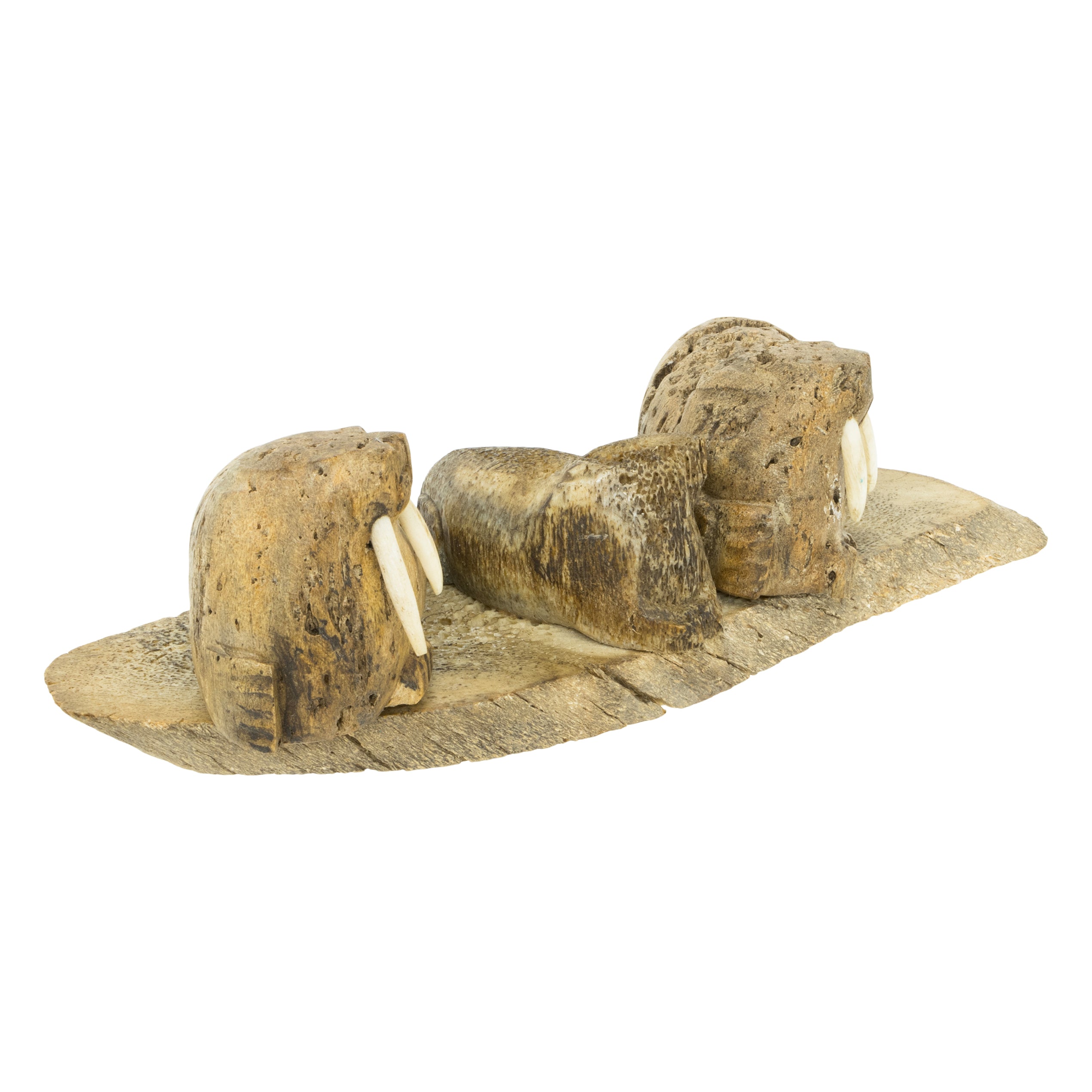 Inuit Whale Verebrae Walrus Sculpture