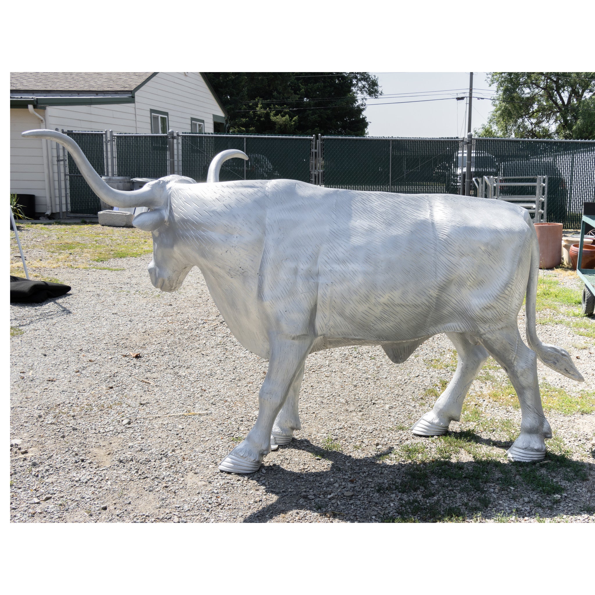 Lifesize Metal Longhorn