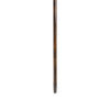 Sword Cane
