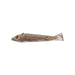 Spear Fish Decoy, Sporting Goods, Fishing, Decoy