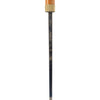Ivory Sword Cane