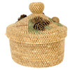 Large Coushatta Pine Needle Basket, Native, Basketry, Vertical