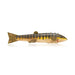 Spear Fishing Decoy, Sporting Goods, Fishing, Decoy