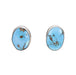Navajo Golden Hill Turquoise Earrings, Jewelry, Earrings, Native