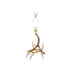 Antler Table Lamp