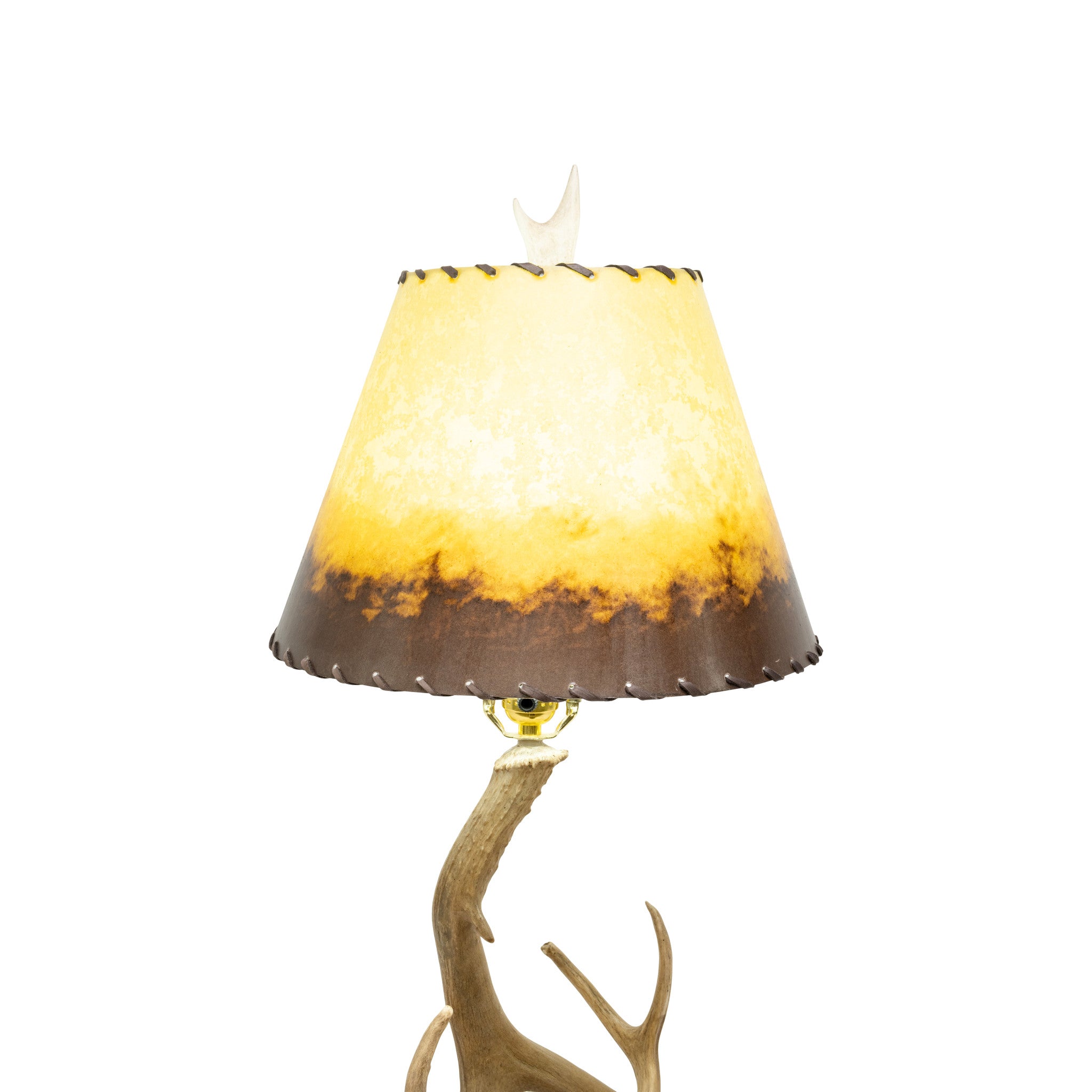Antler Table Lamp