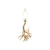 Antler Table Lamp