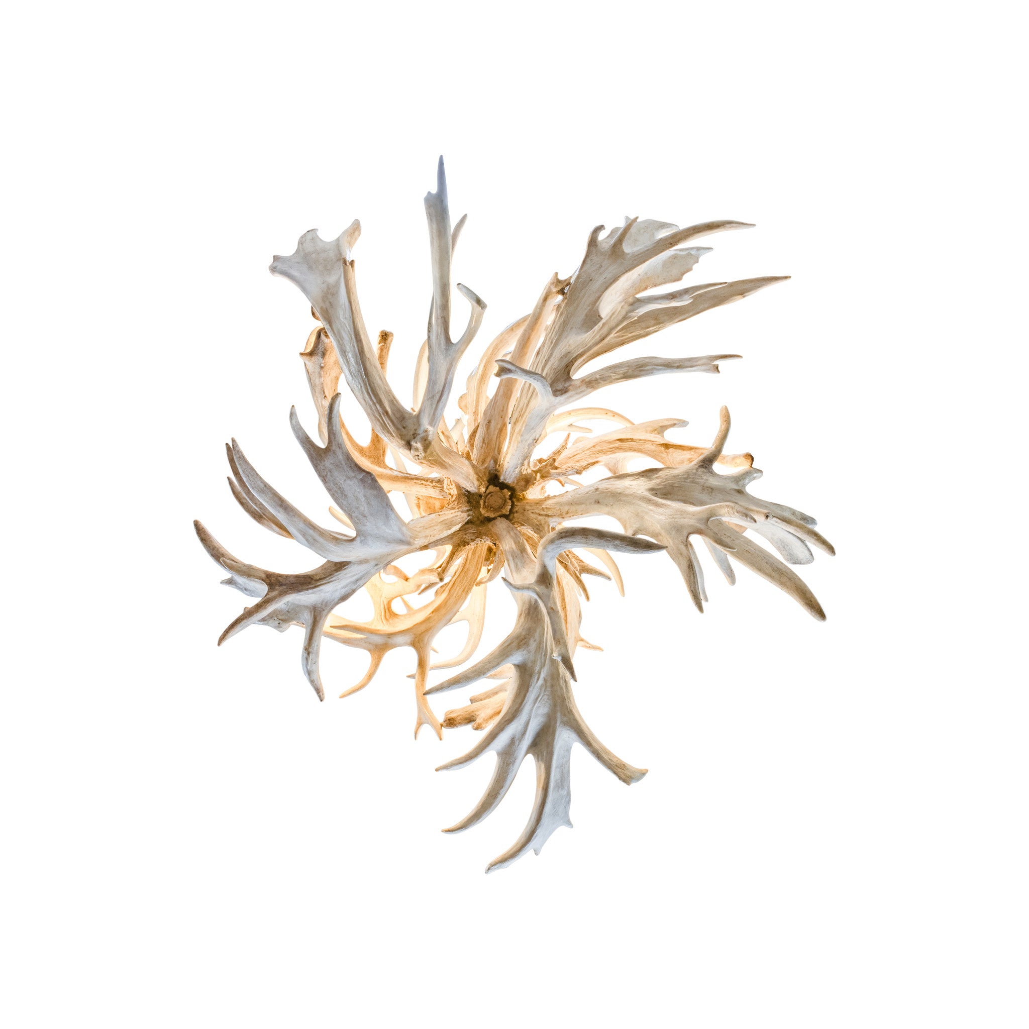 Extra Large Whitetail Fireball Chandelier
