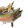 Large Bear Lake Rainbow